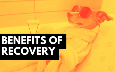 Benefits of Recovery