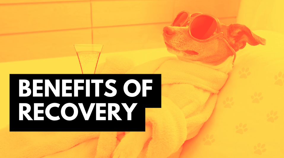 Benefits of Recovery
