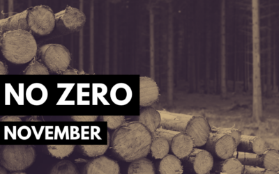 No Zero November